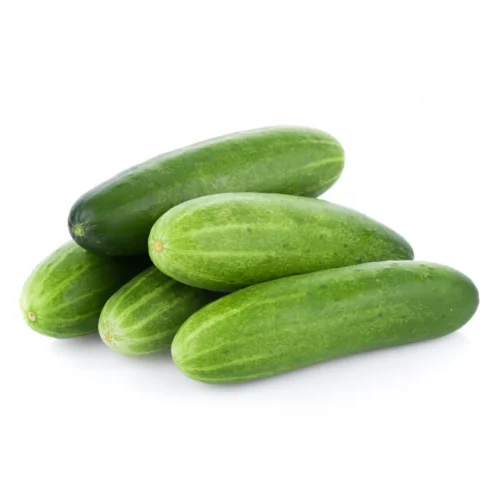 Cucumber